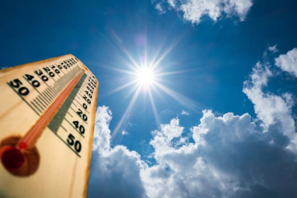 Consejos y medidas preventivas de la Municipalidad de Viedma ante la ola de calor de esta semana