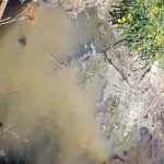 Vecinos de un barrio de Ushuaia reclaman por olor nauseabundo que emana de una laguna