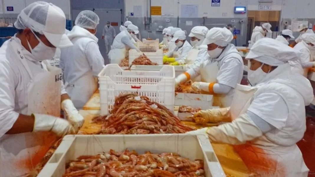 Coordinación con Chubut para cuidar inocuidad de la pesca y el ambiente