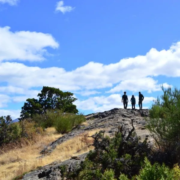 El sendero secreto de las pinturas rupestres en el Parque Nacional Los Alerces: historia milenaria, naturaleza y un viaje al origen de la Patagonia