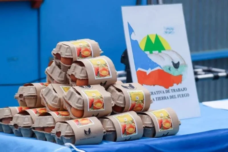 Tierra del Fuego: producen huevos sustentables ambientalmente