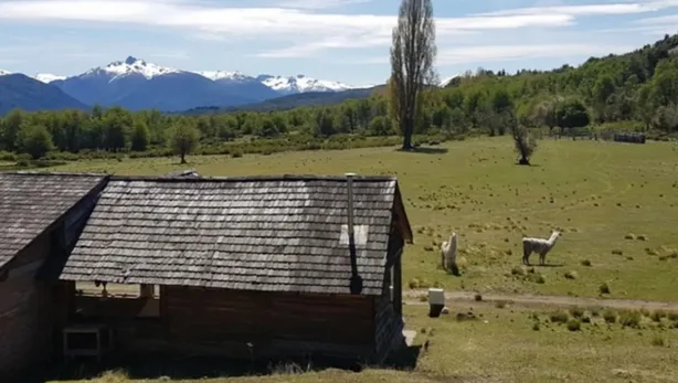 Comunidades mapuches denuncian desalojos para emprendimientos inmobiliarios