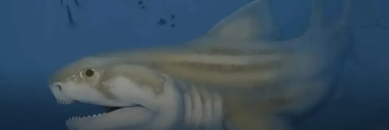 Encuentran fósiles de dos nuevas especies de tiburones