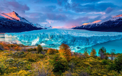 Sin título Sin título