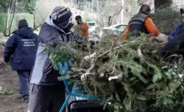 Nuevas tarifas de recolección de residuos forestales en Bariloche