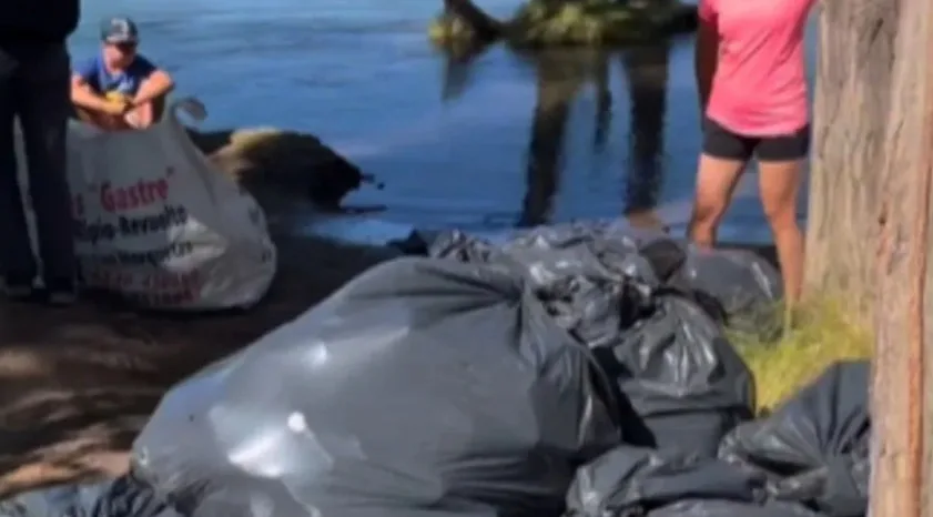 Realizaron una jornada de limpieza en el Río Limay