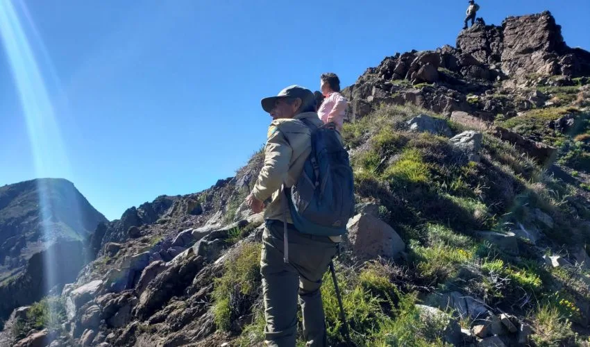 Guardaparques de Biobío y Ñuble inician monitoreo de Huemul en Antuco