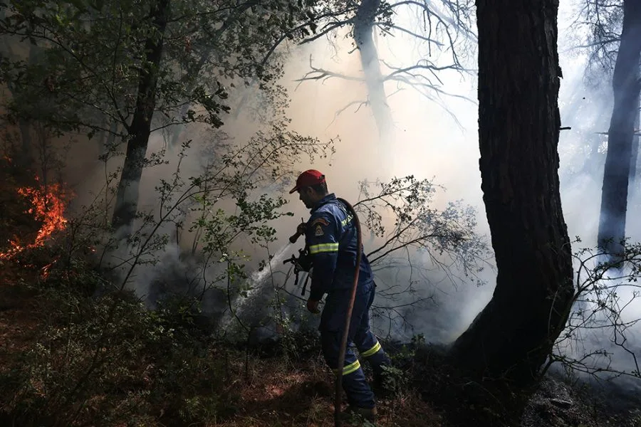 Ambiente, en riesgo con la aprobación de la Ley Ómnibus