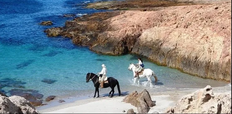 Bahía Bustamante suma nuevas propuestas al Parque Patagonia Azul