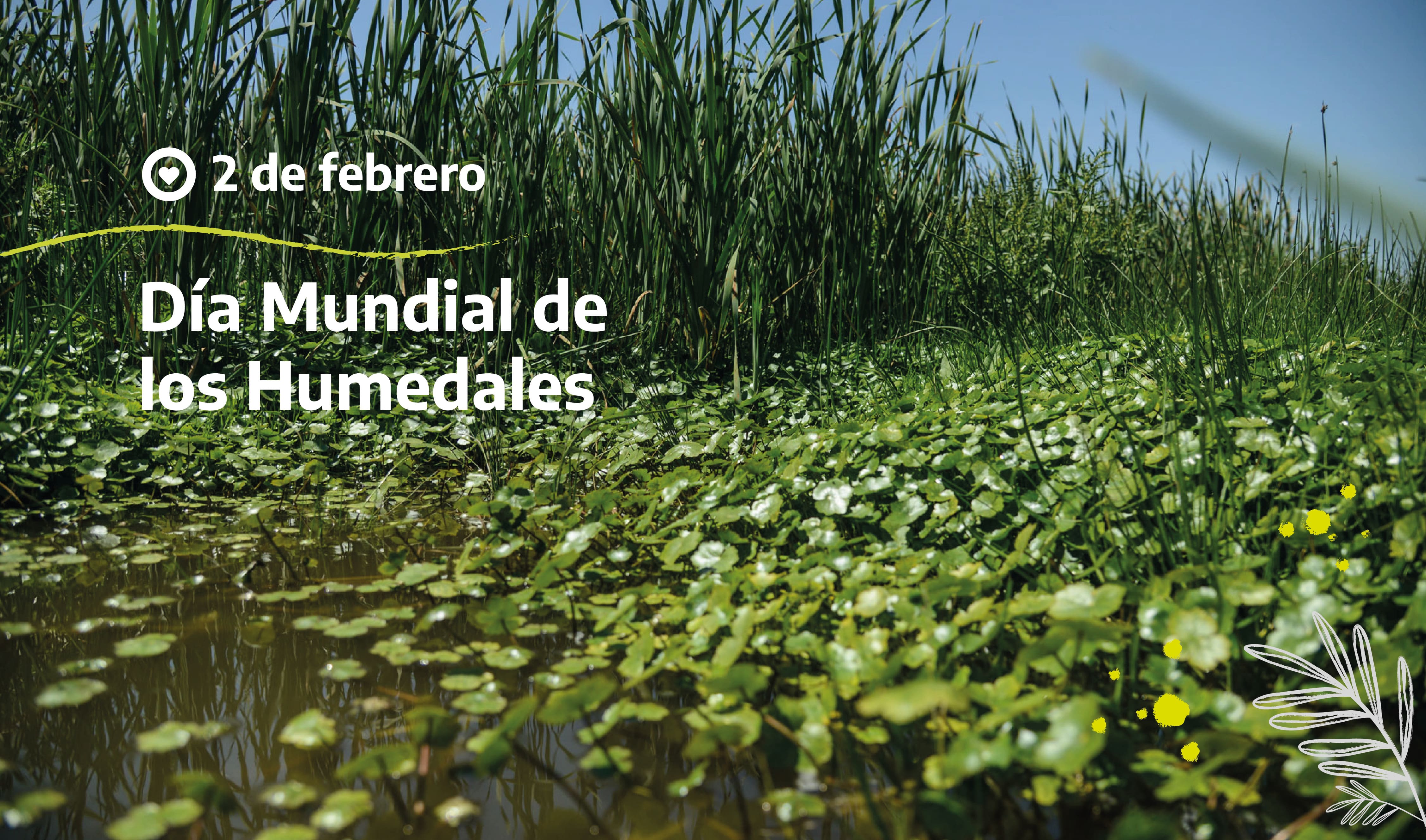 Día Mundial de los Humedales