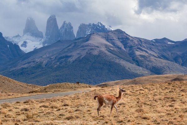 Los parques nacionales menos visitados de Argentina y por qué deberías conocerlos