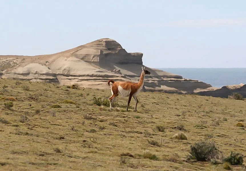 Descubriendo el potencial marino de Monte León
