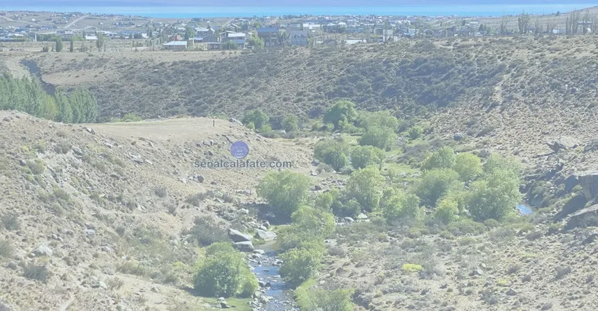Convocan a una jornada del limpieza del cañadón del arroyo Calafate