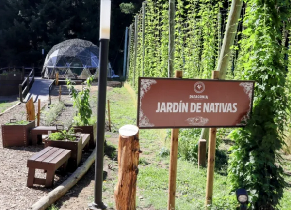 ¿Qué relación tienen una cervecería, un gin y un jardín de plantas nativas?