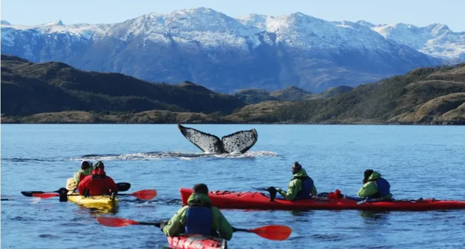 Región de Magallanes apuesta por ofrecer una temporada turística durante todo el año
