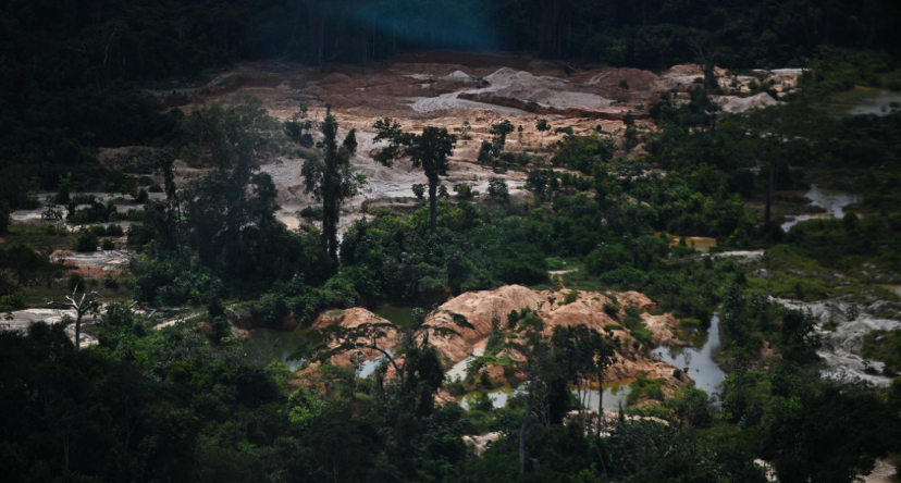 Brasil: la deforestación de la Amazonía disminuyó casi un 30% en comparación con febrero de 2022
