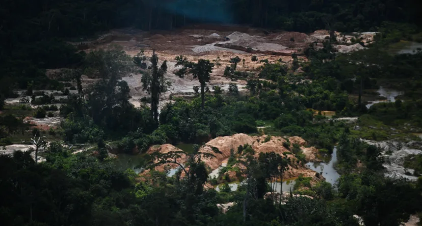 La deforestación de Amazonía disminuyó casi 30% en comparación con febrero de 2022