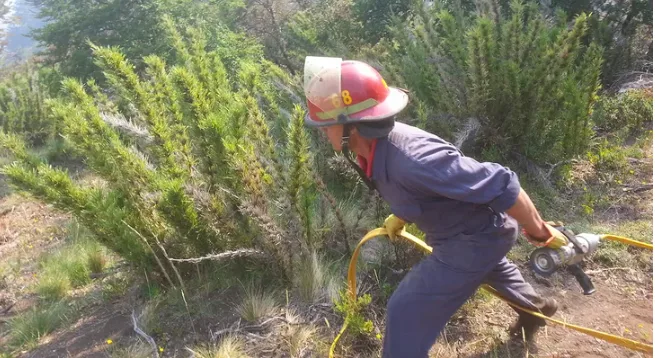 Declaran la emergencia ígnea por riesgo extremo de incendios en Neuquén