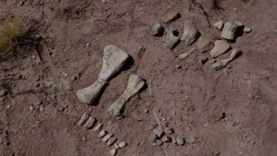 Hallan huesos de pequeños dinosaurios en Neuquén y estudian si era una «guardería»