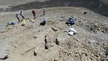 Científicos descubrieron un nuevo titanosaurio de 7 toneladas que vivió en el sur de Argentina