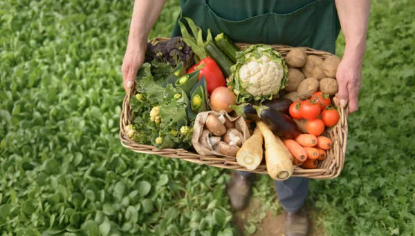 Promoción de la Producción y/o Elaboración de Productos Orgánicos