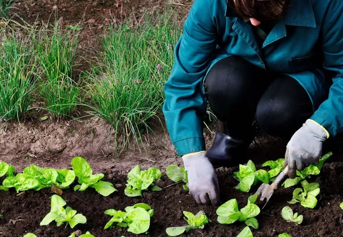 Dictan el curso anual de Horticultura Agroecológica en Salliquelo