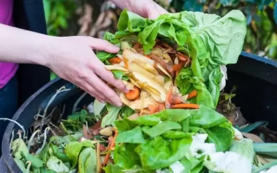 Fuente-City-of-Moose-Jaw-696x410.jpg-1