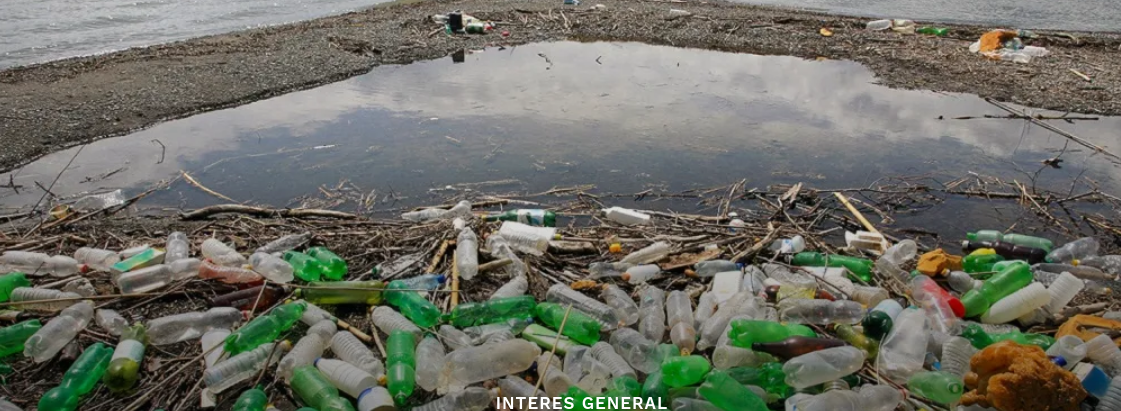 Crean un plástico vegetal reciclable para combatir la contaminación