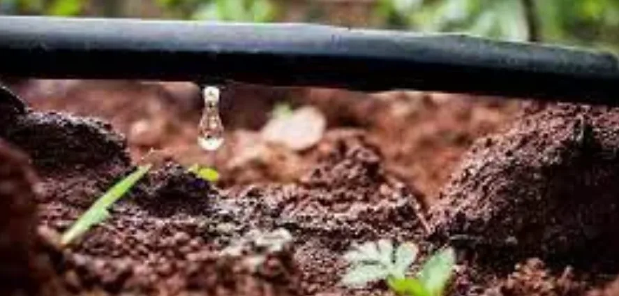 Humedad del suelo: Su impacto contra el cambio climático