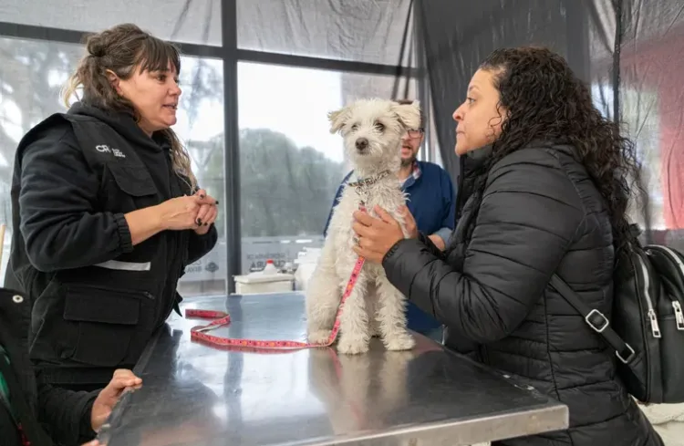 Vacunaron 150 mascotas por el Día del Animal en Comodoro Rivadavia