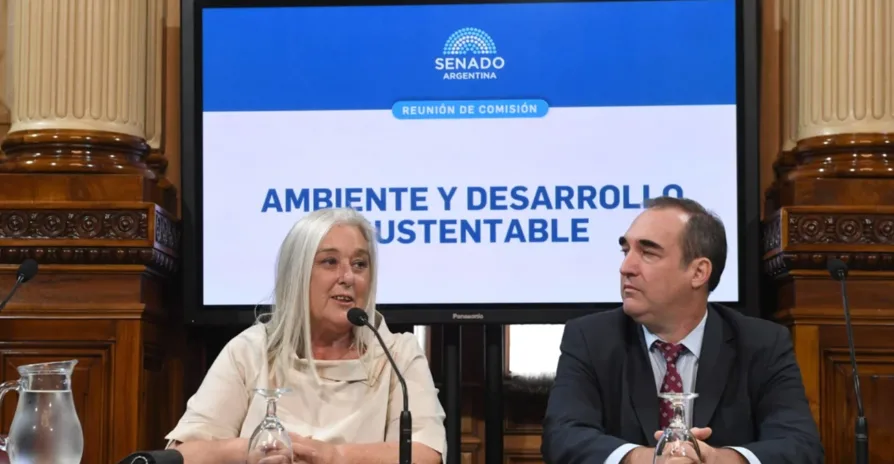 Terenzi fue elegida para presidir la Comisión de Ambiente y Desarrollo Sustentable