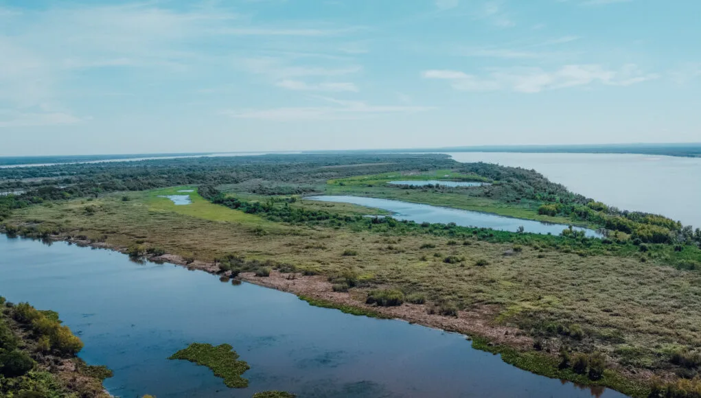 Santa Fe participará de la creación de la Alianza Verde Argentina