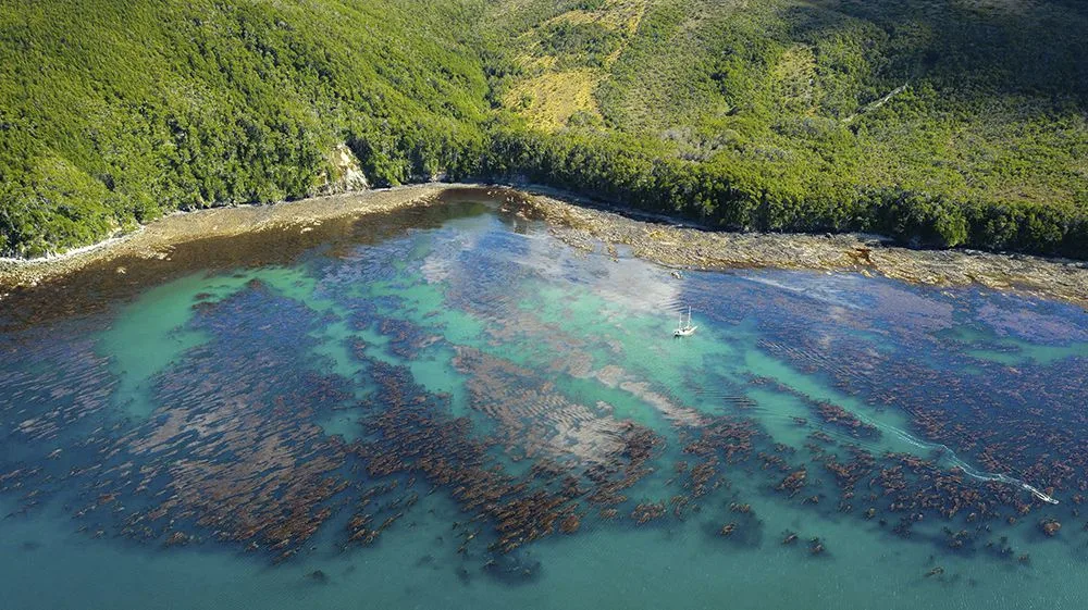 Piden que se haga efectiva la conservación de Península Mitre en Tierra del Fuego