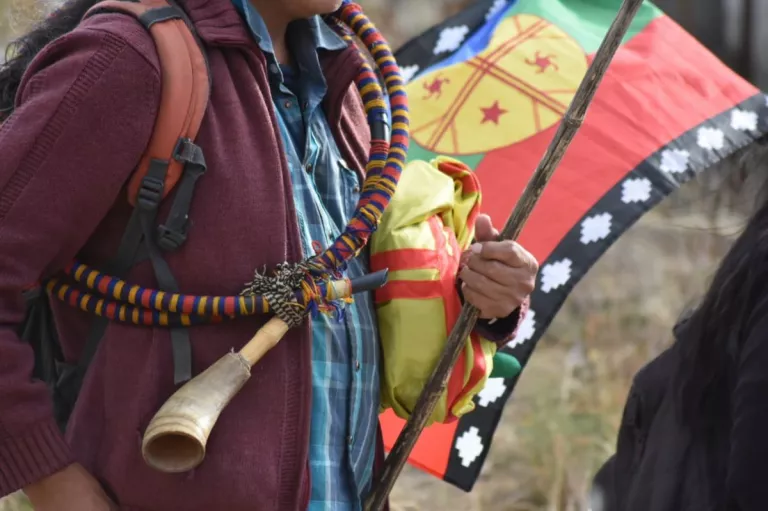 ¿Cómo surgieron los lazos entre una agrupación ambientalista suiza y el pueblo mapuche de Rio Negro?