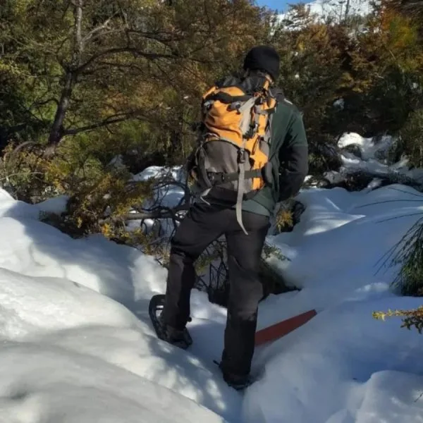 Metros de nieve acumulada y árboles caídos: cierran el Parque Nahuel Huapi