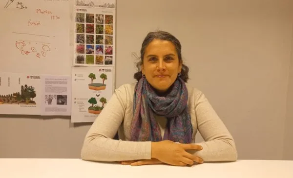 Convocan a instituciones y comercios de Esquel a participar del Programa de Arbolado Urbano