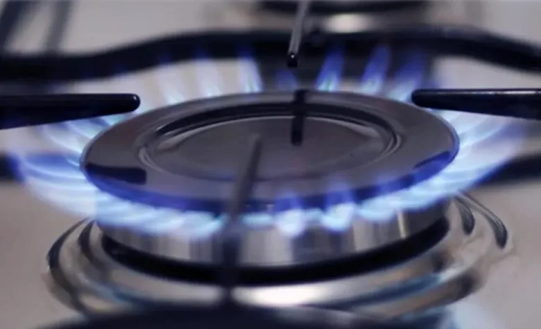 Gasoducto de la Región Sur: los beneficios ambientales que trae esta obra