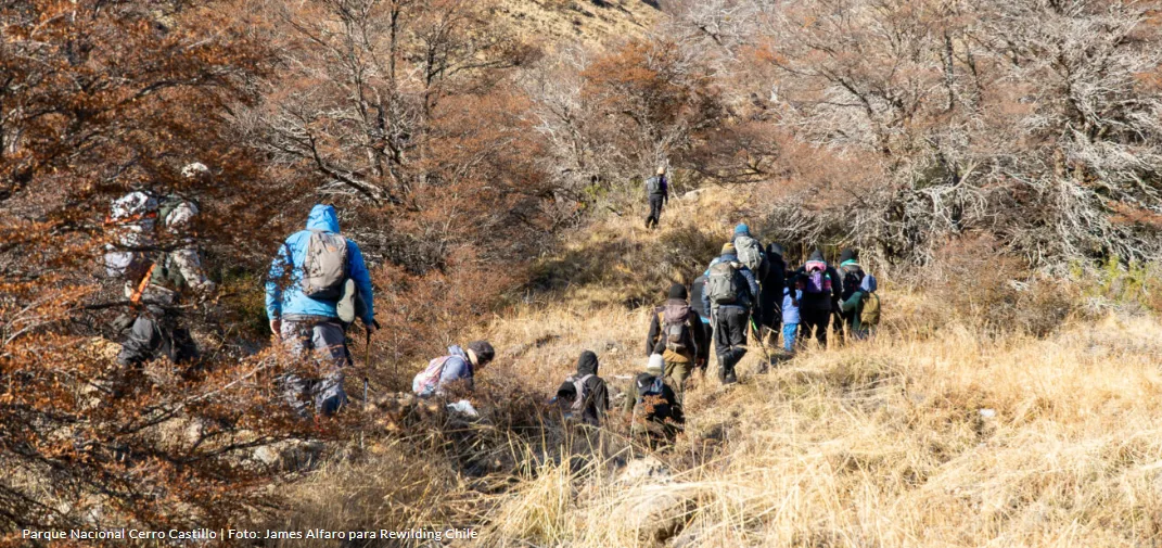 DEFENSORES DEL PARQUE NACIONAL CERRO CASTILLO: CONSTRUYENDO UNA HISTORIA SOBRE EL HUEMUL