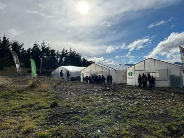 Fundación Reforestemos planta árboles de su vivero en la región de Aysen