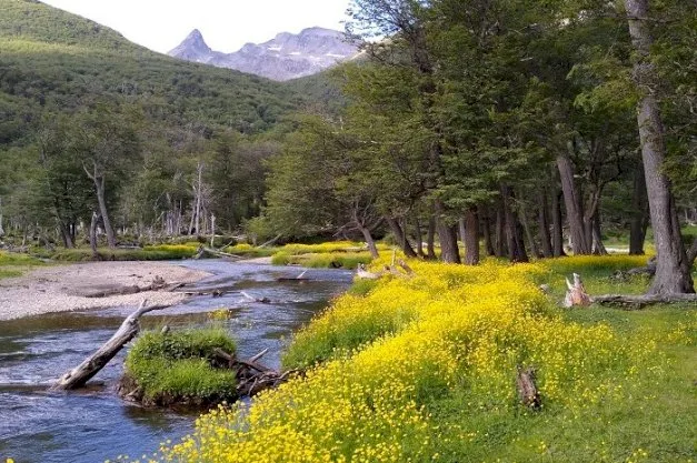 Jornadas de Ambiente 2024: impulsan un debate sobre las Reservas Naturales en Tierra del Fuego