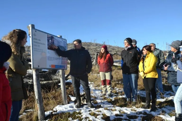 Nueva temporada de plantación del plan forestal en Tierra del Fuego
