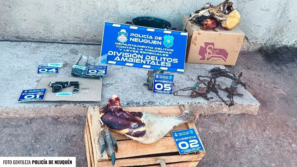 Realizaran tareas comunitarias por organizar una caza ilegal