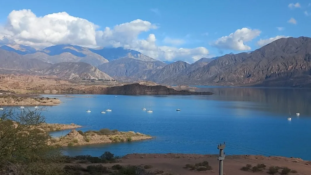 Hallaron microplásticos en peces exóticos y nativos de Mendoza