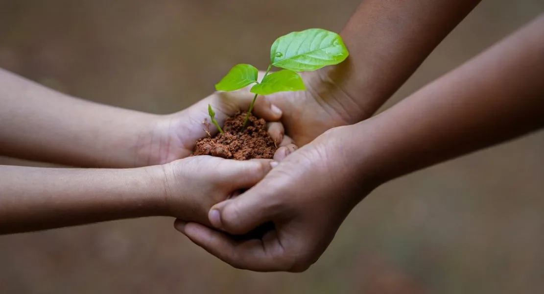 Alivio para el medioambiente: la Unión Europea aprobó definitivamente la Ley de Restauración de la Naturaleza