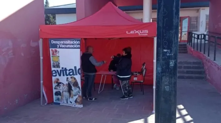 Zoonosis desparasitó alrededor de 50 animales en barrio Corradi de Trelew