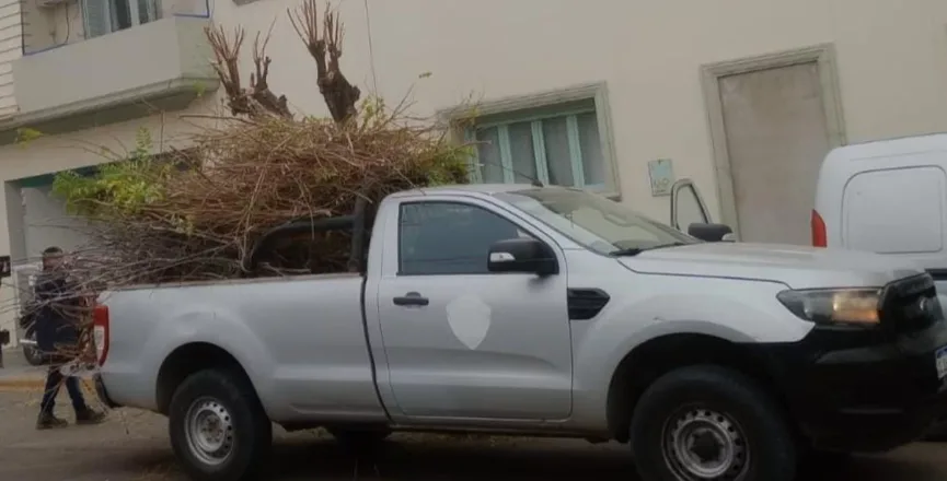 Continúa vigente la temporada de poda en Trelew