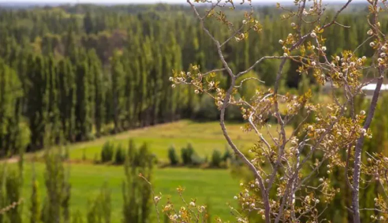 Realizarán un taller para potenciales prestadores de agroturismo en Neuquen