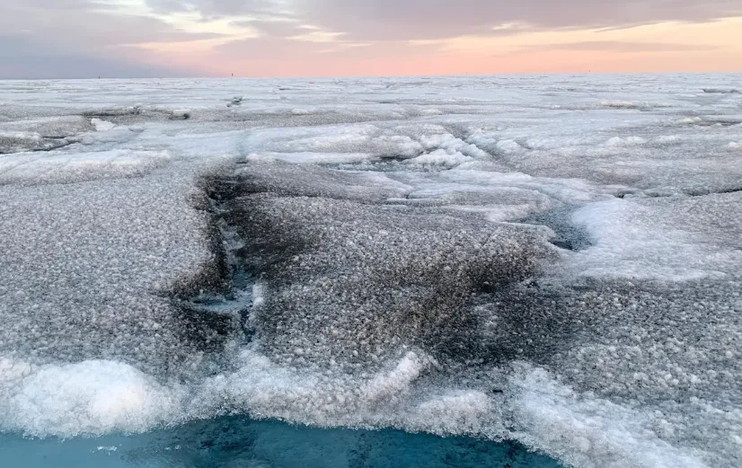 El descubrimiento de virus gigantes que viven en el hielo y pueden solucionar un gran problema de la humanidad