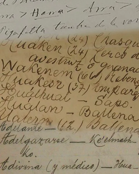Lenguas de los territorios fuegopatagónicos y pampeanos