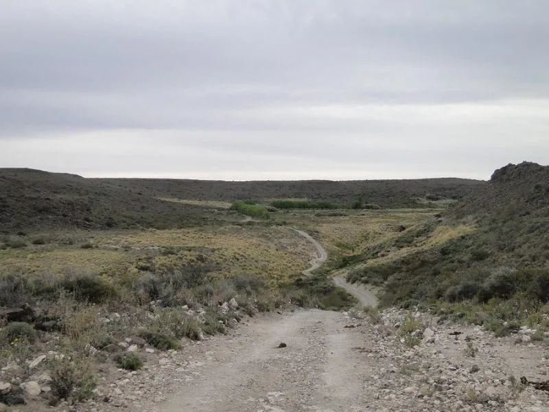 Río Negro Adopta Nueva Ley de Tierras para Promover un Desarrollo Sostenible